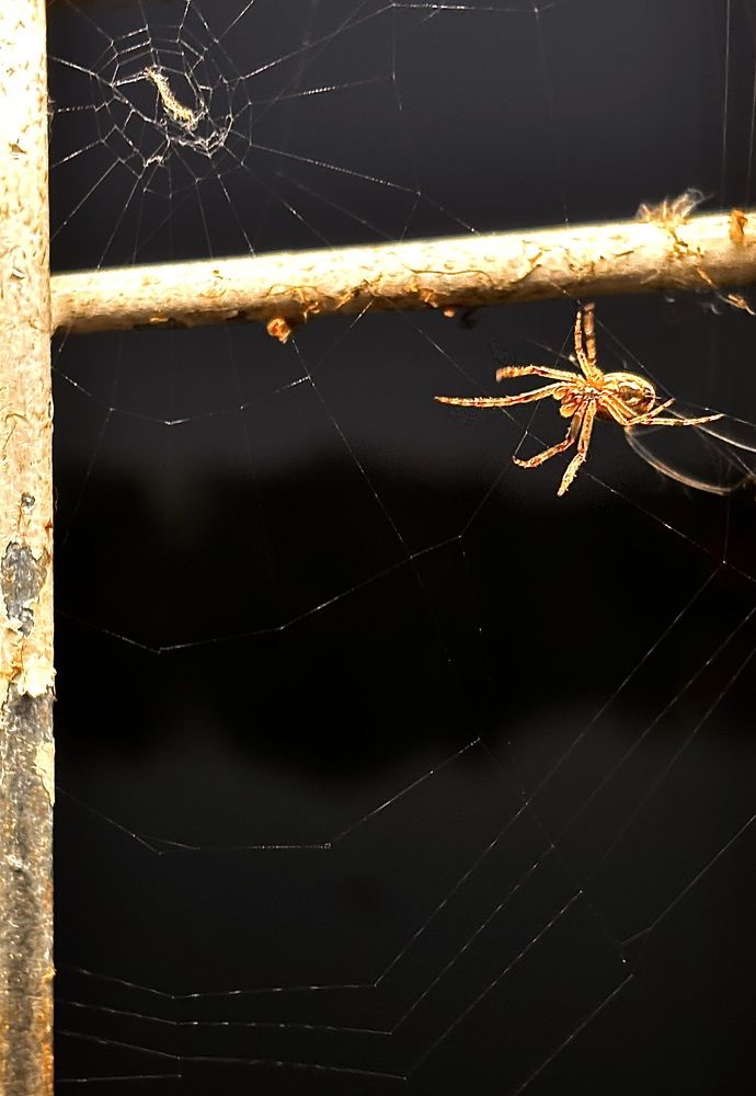 Photograph by Сергей Новиков