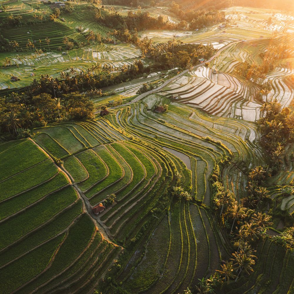 Photograph by Слава Азаров