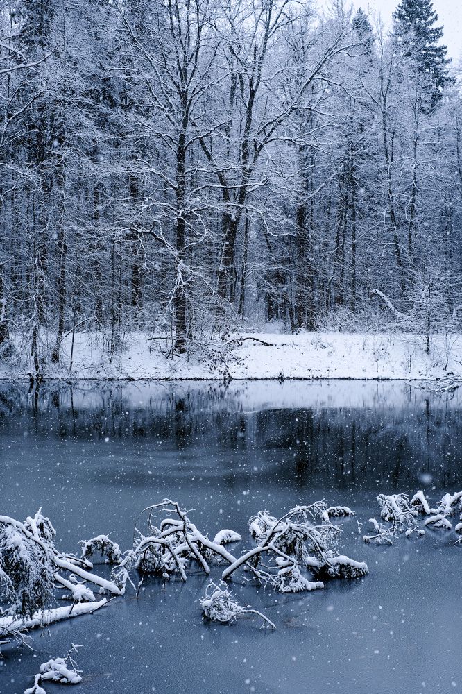 Photograph by Татьяна Глебова