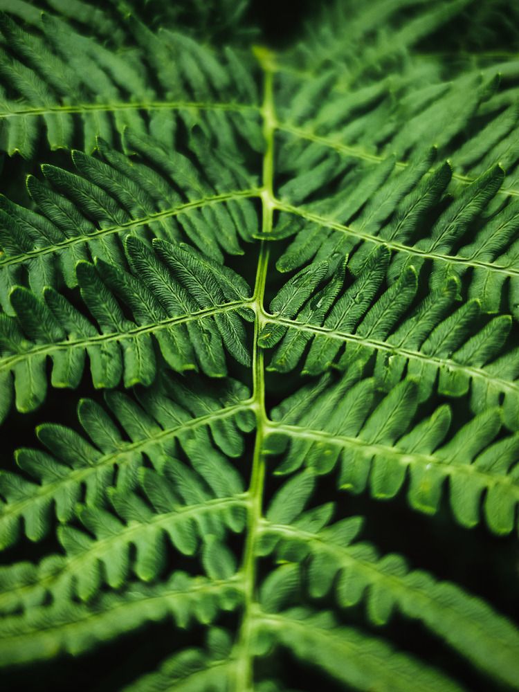 Photograph by Андрей Летов