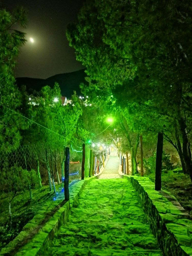 Photograph by Azzeddine Memmou