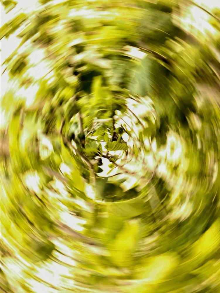 Photograph by Azzeddine Memmou