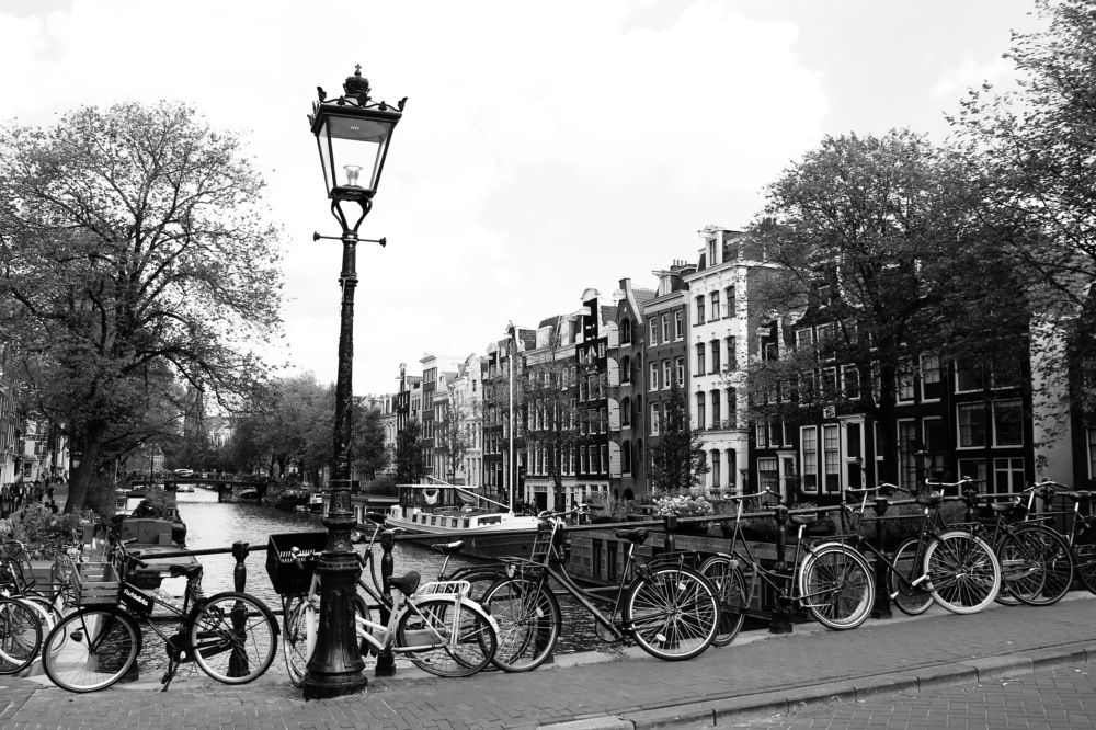 Лицо Амстердама