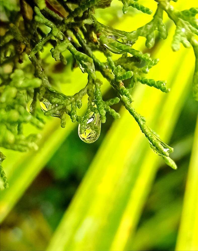 Photograph by Ольга Тихонова