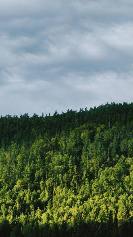 Photograph by Андрей Летов