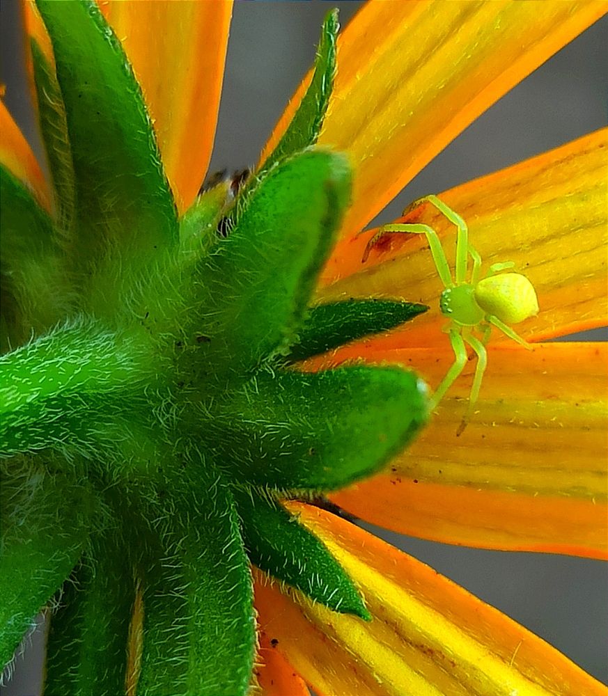 Photograph by Ольга Тихонова