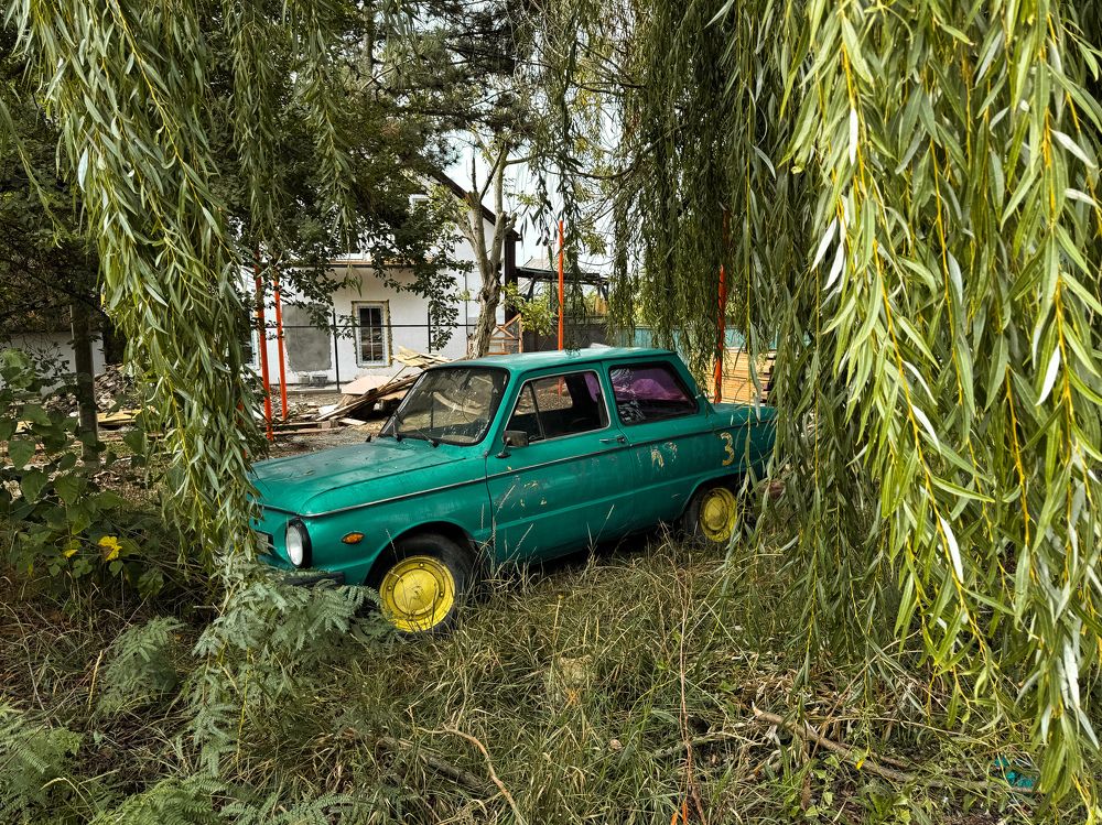 Photograph by Анна Голубцова