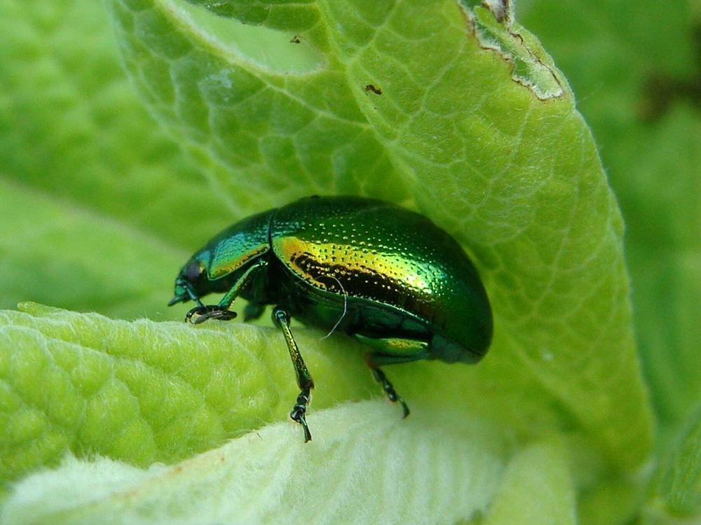 Фотография автора Павел Попов