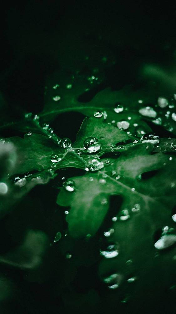 Photograph by Андрей Летов