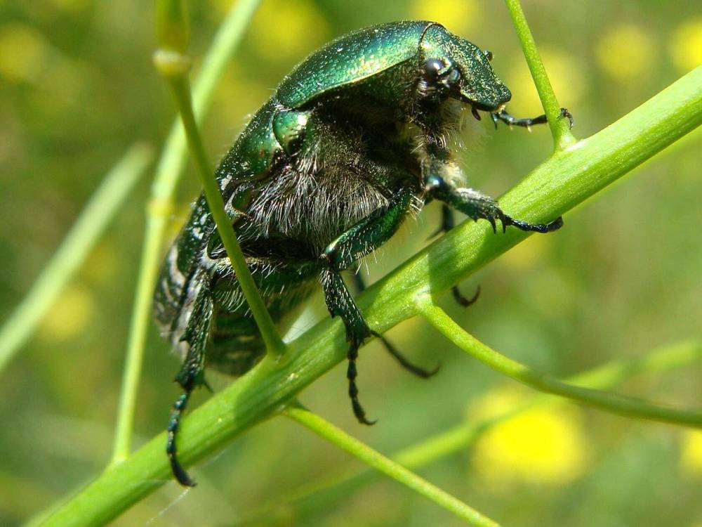 Фотография автора Павел Попов