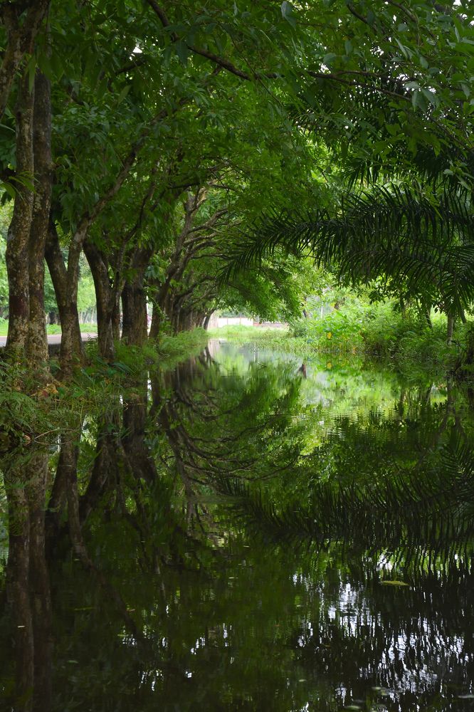 Photograph by Md. Mahfuzur Rahman