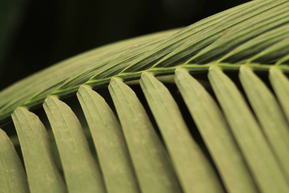 Photograph by Антон Иванов