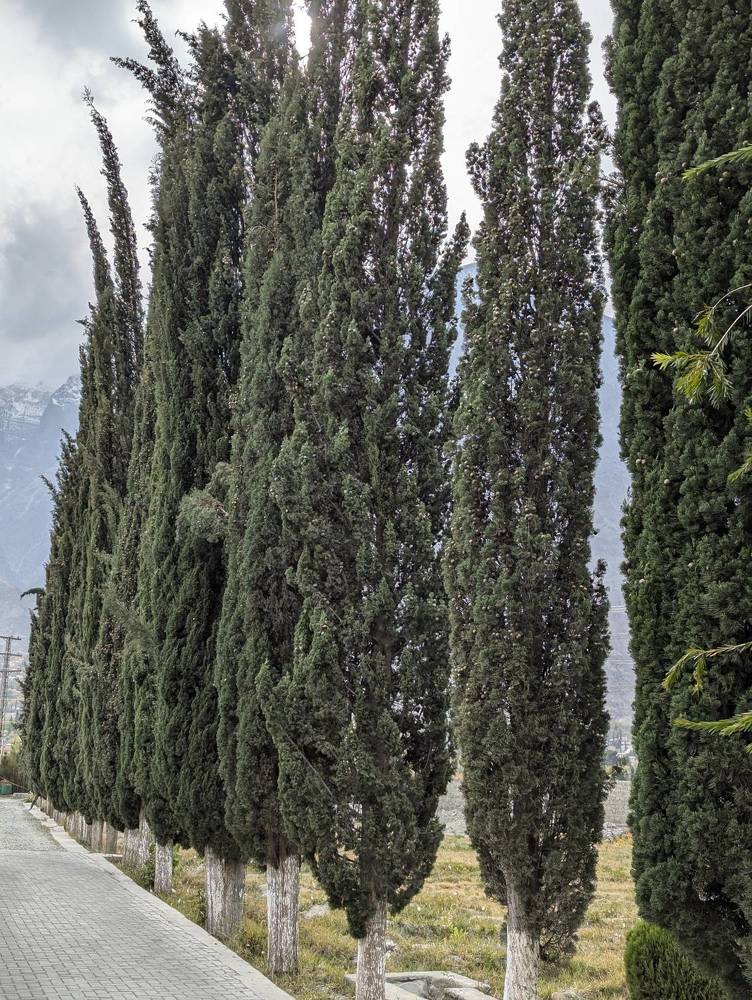 Photograph by Ishaq Karim