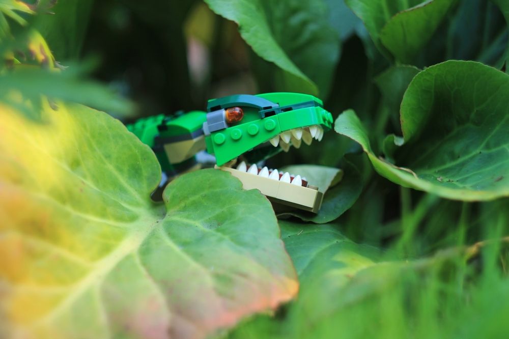 Photograph by Антон Иванов