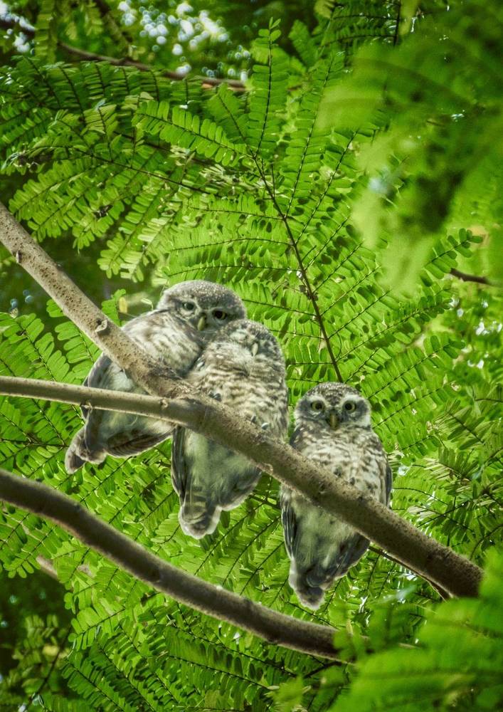 Фотография автора Washiful Majid