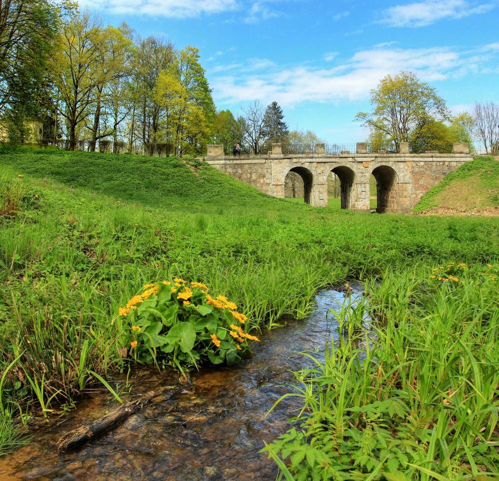 Photograph by Сергей Григорьев