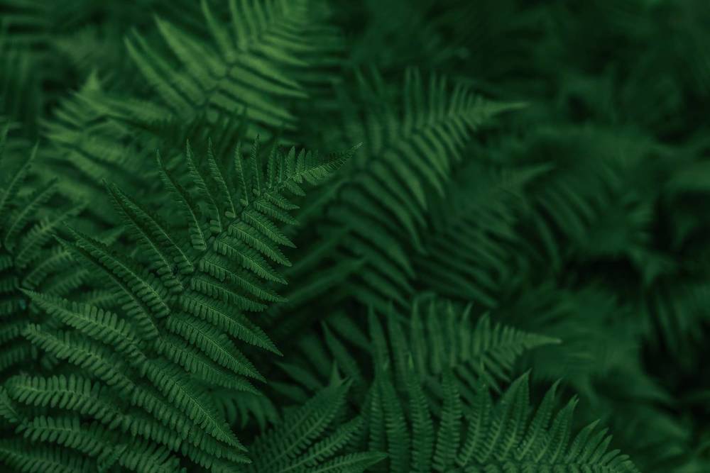 Фотография автора Анастасия Мазурева