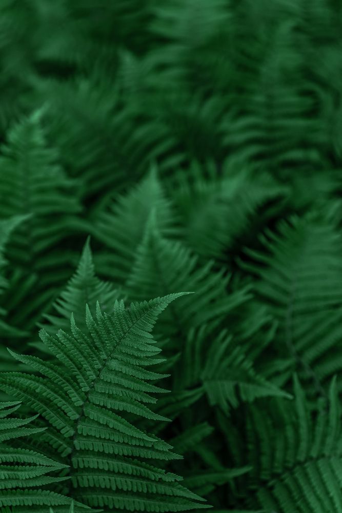 Фотография автора Анастасия Мазурева