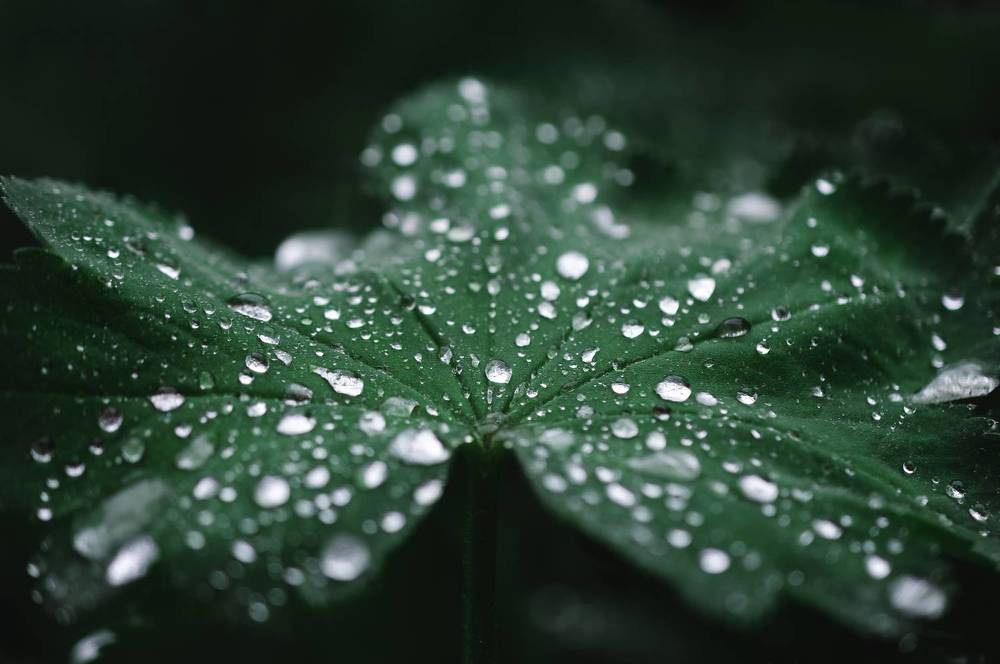 Фотография автора Анастасия Мазурева