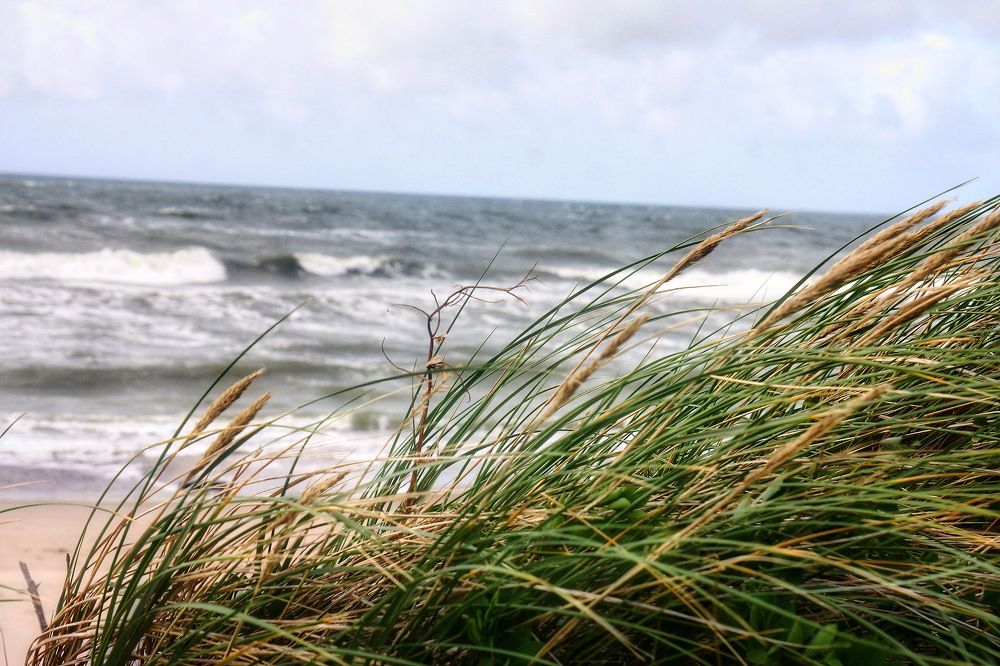 Photograph by Oksana Smorodina