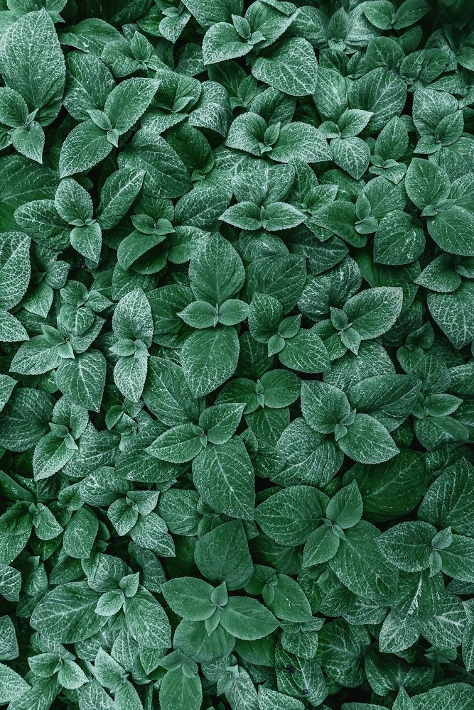 Фотография автора Анастасия Мазурева