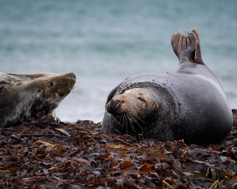 Фотография автора Оксана Дорн