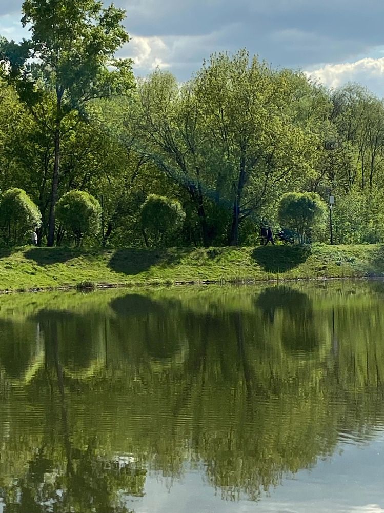Photograph by Елена