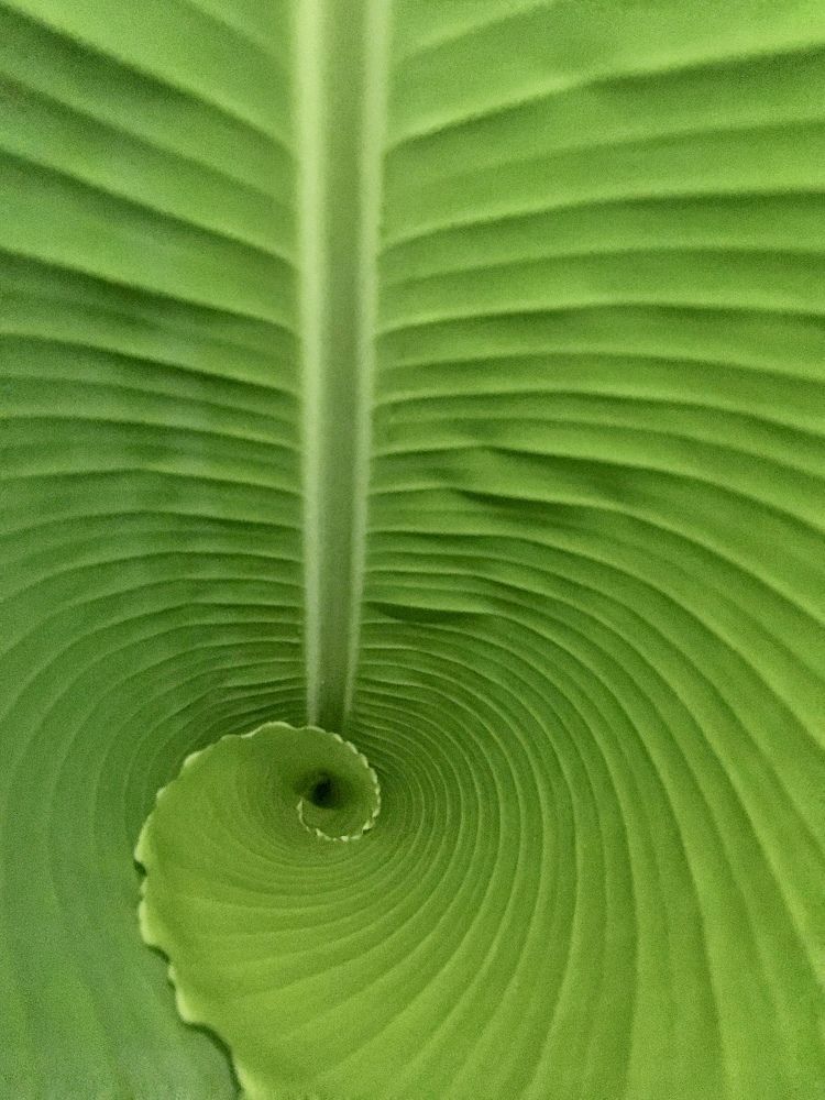 Фотография автора Washiful Majid