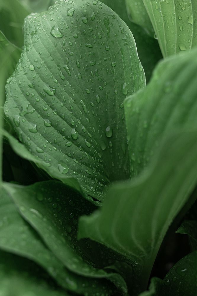 Photograph by Юлия Шевцова