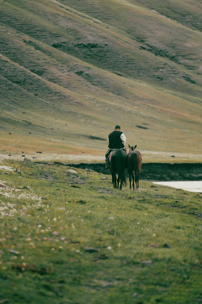 Photograph by Chen Chen