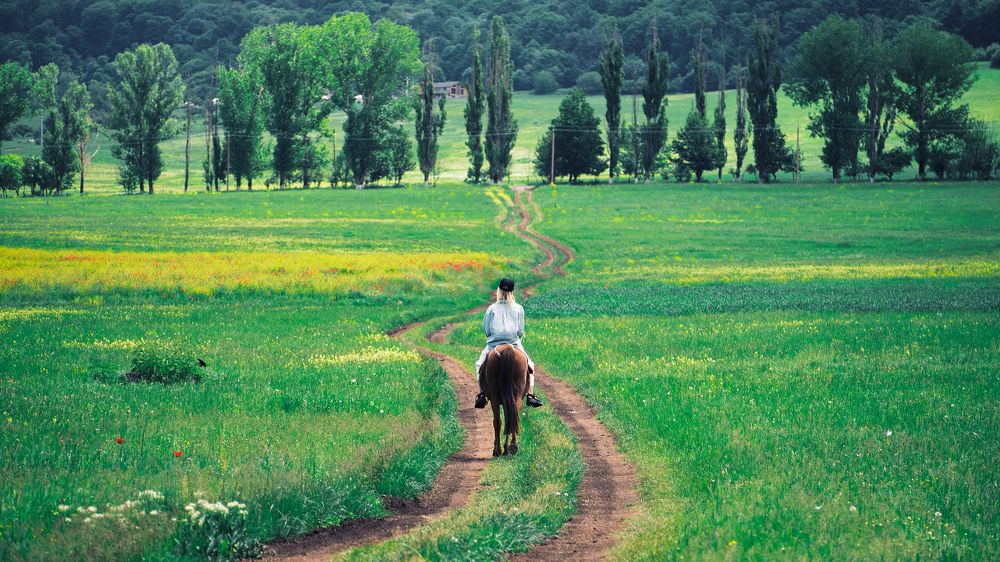 Фотография автора Владимир Эделев