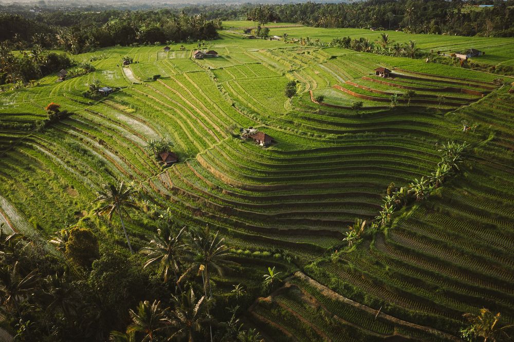 Photograph by Слава Азаров