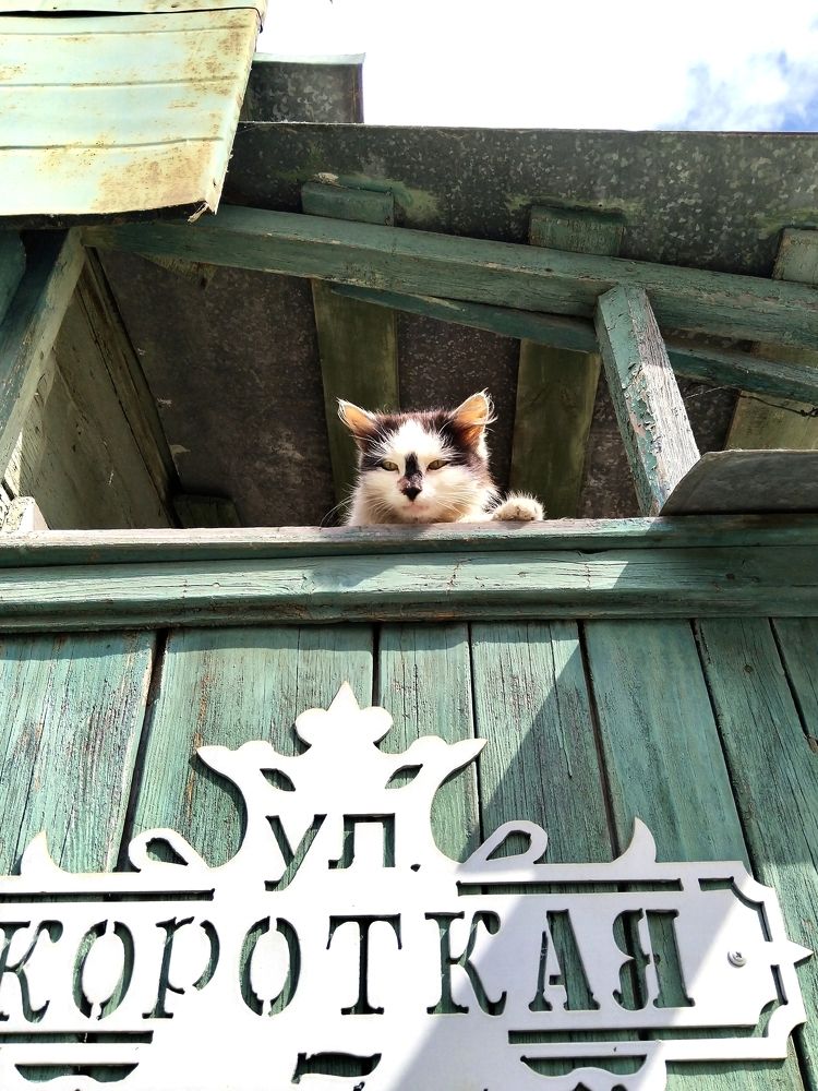 Photograph by Ольга Чернова