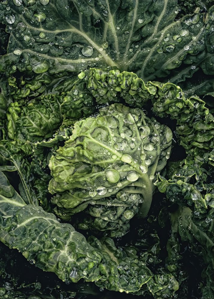 Фотография автора  Eirene