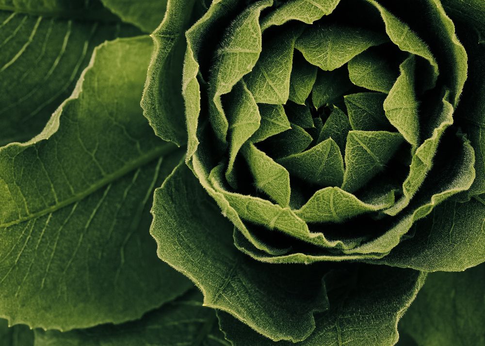 Фотография автора  Eirene