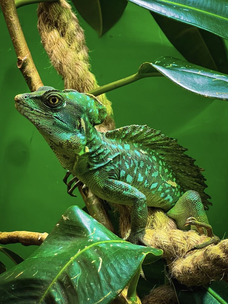 Photograph by Дулова Анастасия