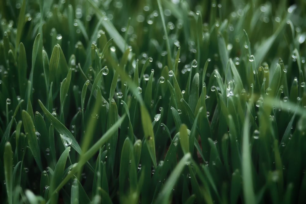 Photograph by Сергей Дишук