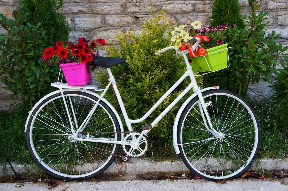 Фотография автора Ксения