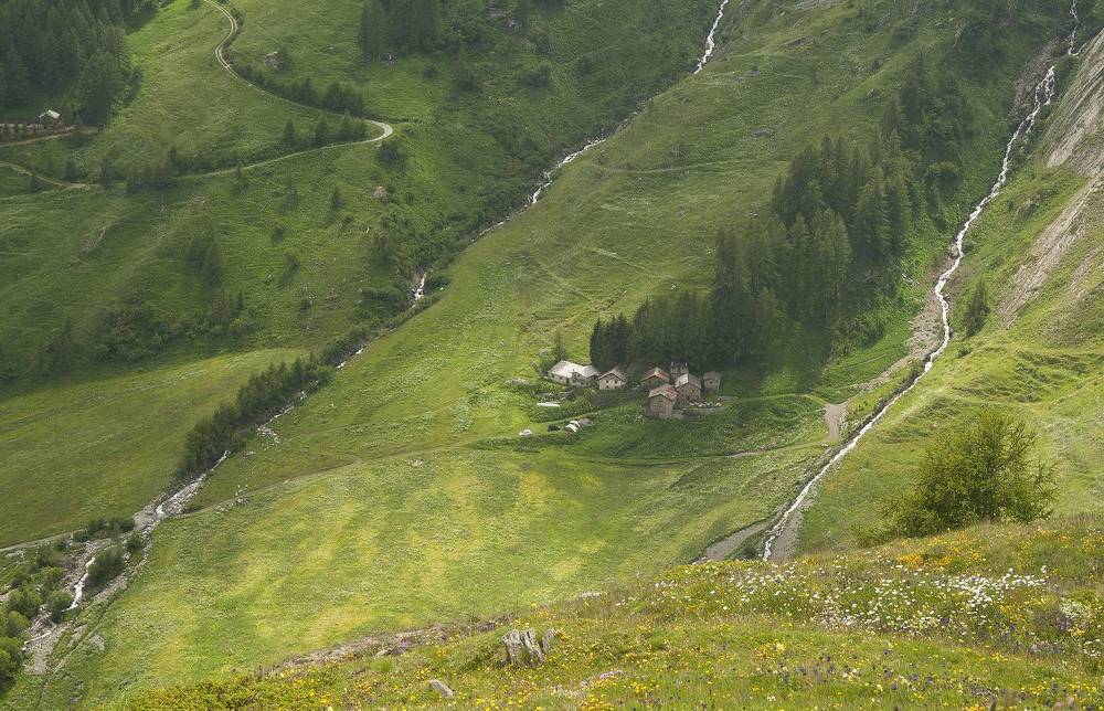 Photograph by Svetlana Rizzo