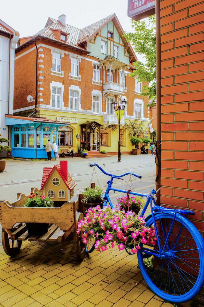 Фотография автора Ксения