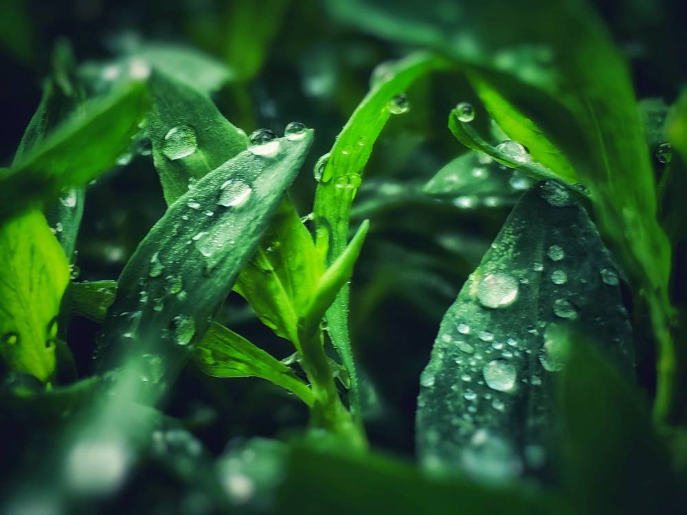 Photograph by Сергей Зайцев