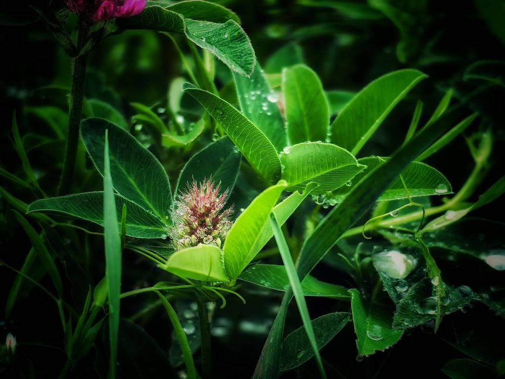 Photograph by Сергей Зайцев