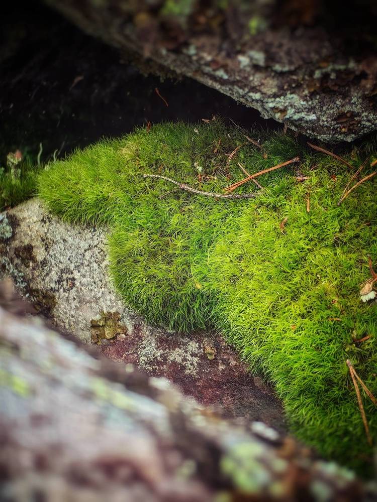 Photograph by Сергей Зайцев