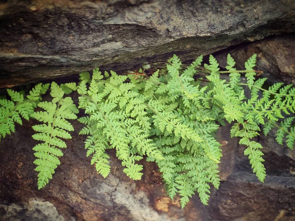 Photograph by Сергей Зайцев