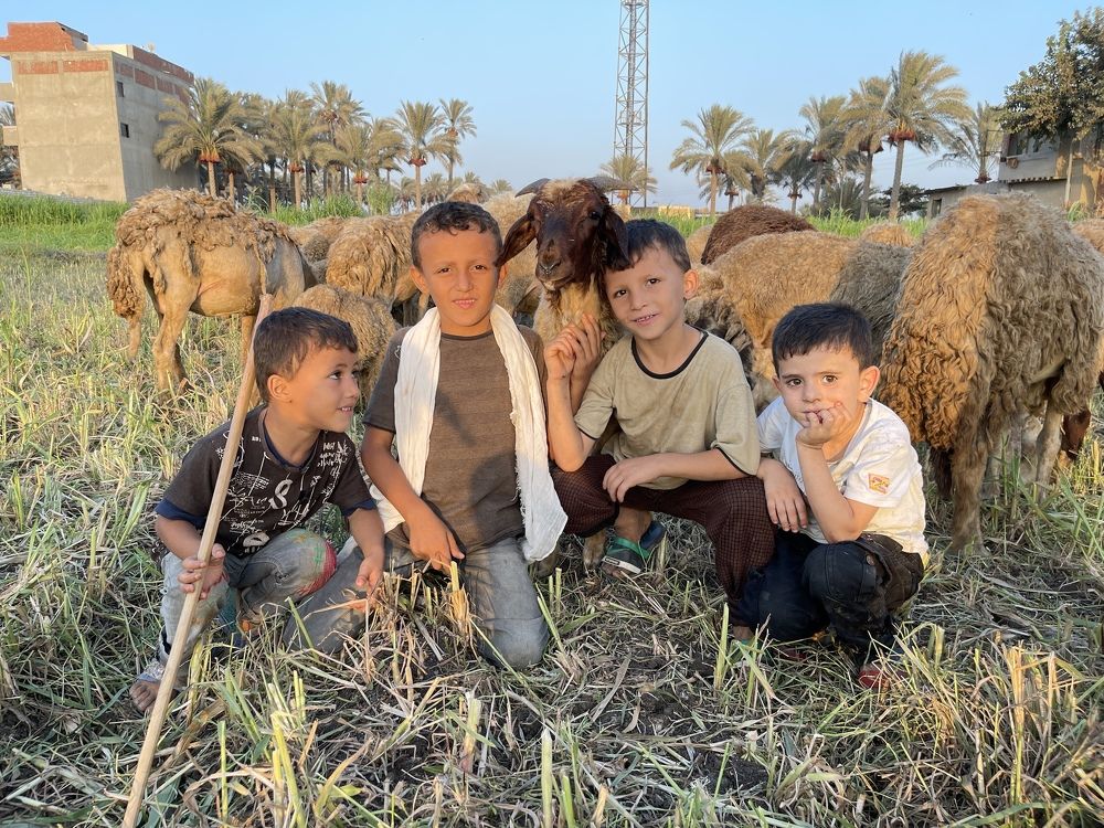 With you in the picture