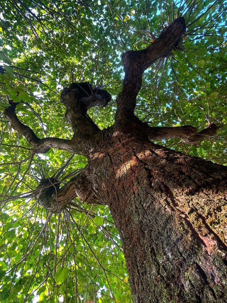 Фотография автора Nadezhda