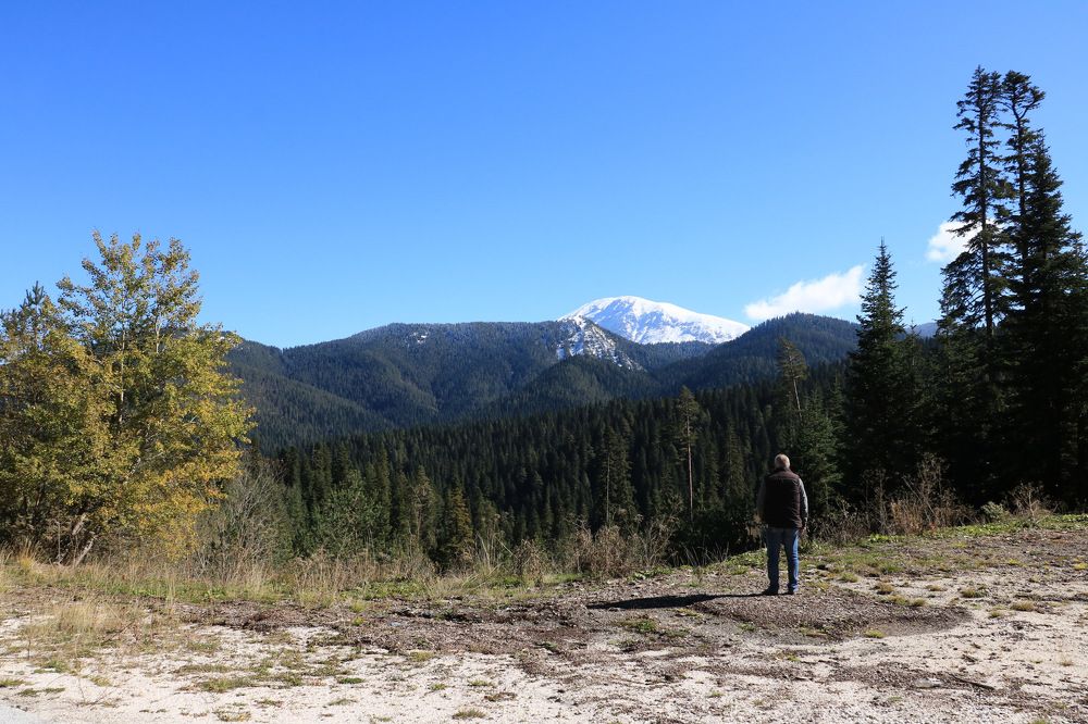 Photograph by Cengiz Yalcin