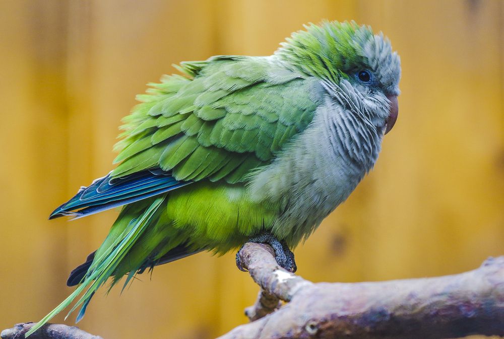 Photograph by Михаил Измайлов