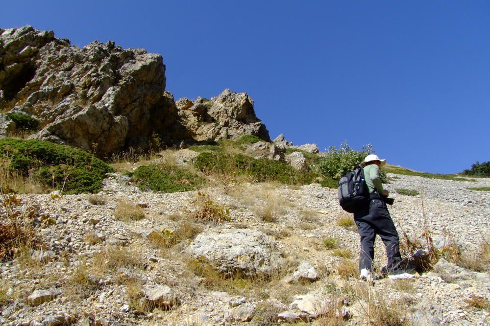 Photograph by Cengiz Yalcin