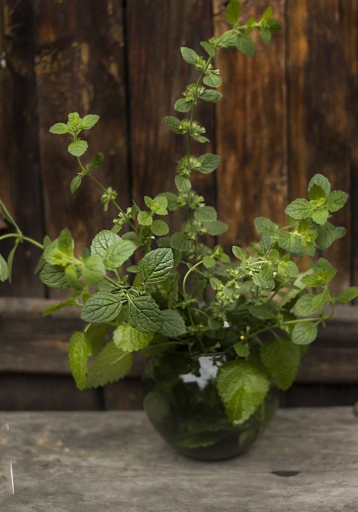 Photograph by Татьяна Шахматова